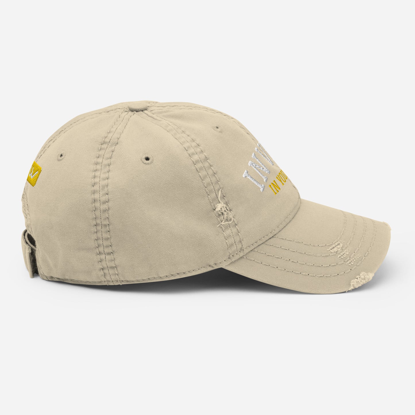 INVEST IN YOURSELF- Distressed Dad Hat